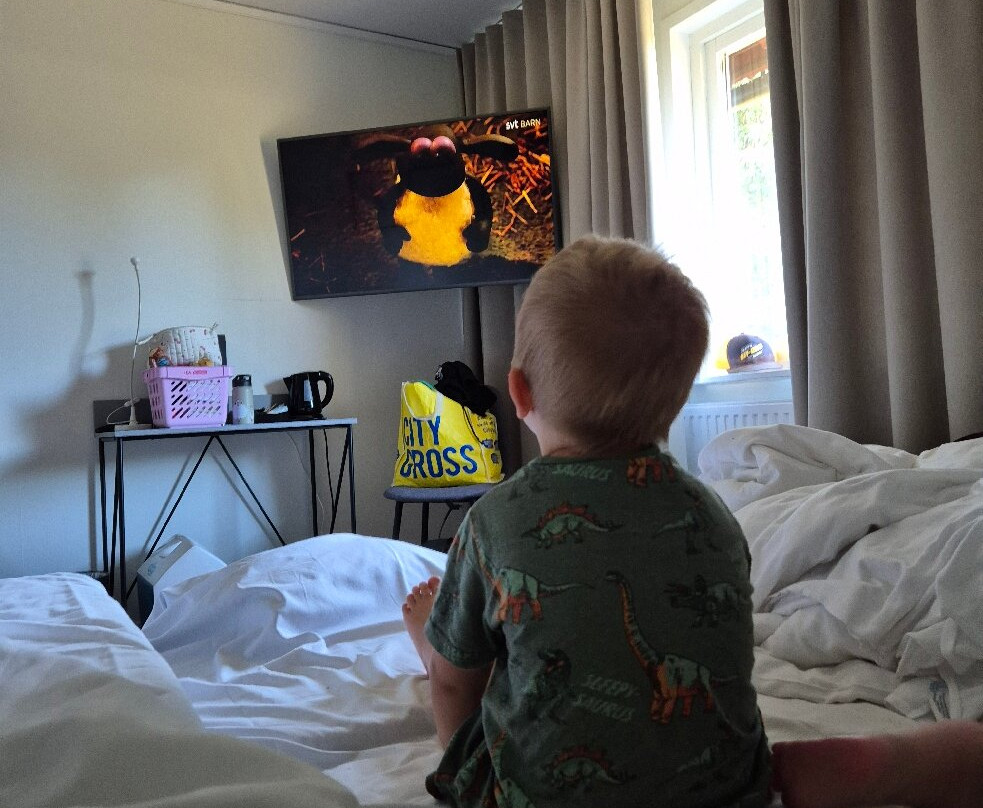 Wisingso Hotel & Konferens主图