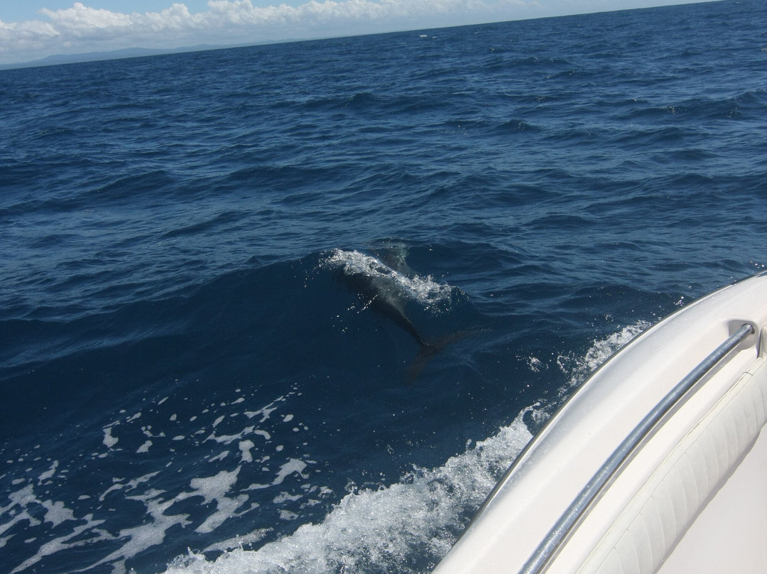 Ecosul Turismo-Ilheus必去景点