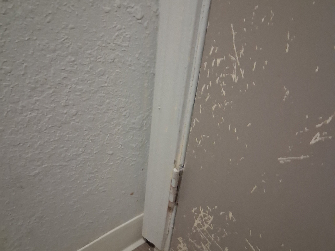 Red Roof Inn Buffalo - Hamburg/ I-90主图