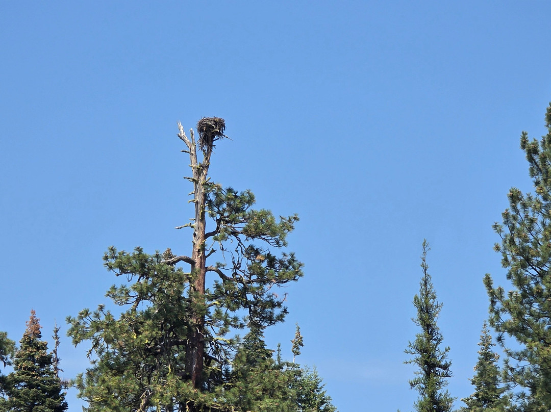 McCall Lake Cruises-McCall必去景点