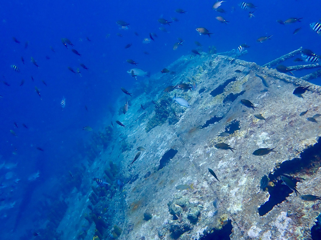 Seabob Aruba-Noord必去景点