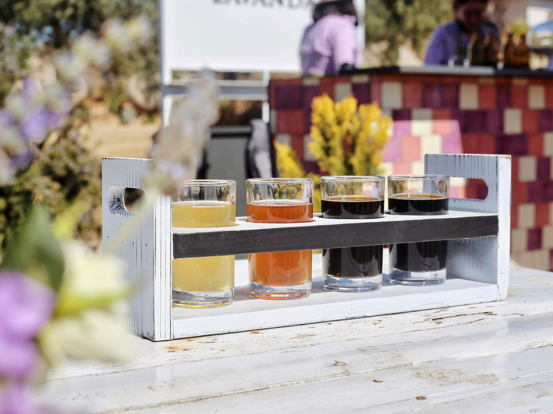 Aires de Lavanda-Valle de Guadalupe必去景点