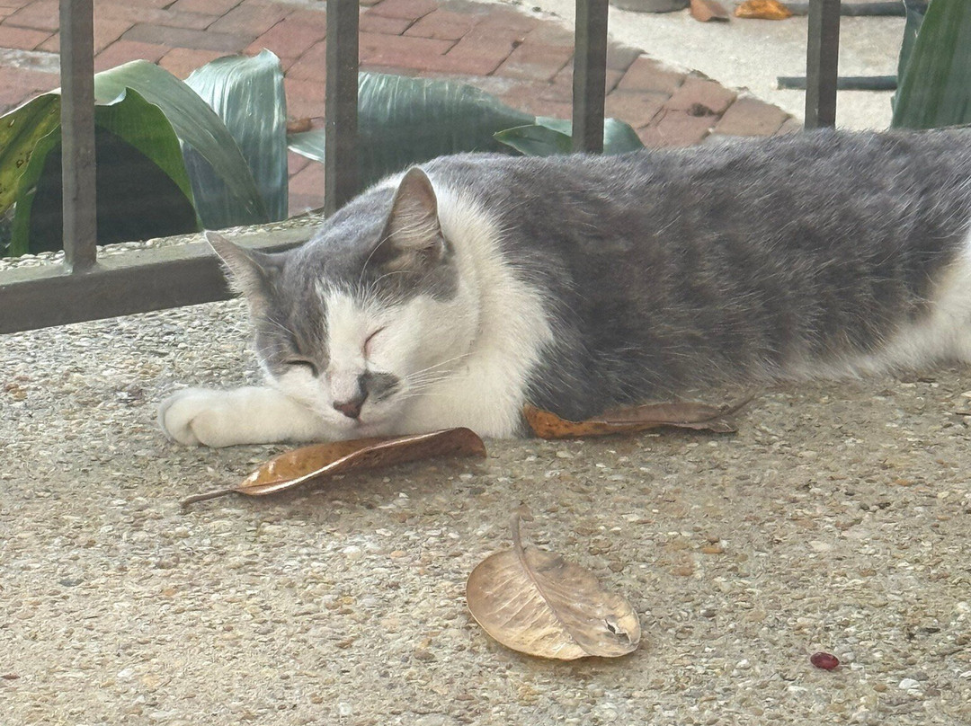 Jubilee Suites Boutique B&B主图