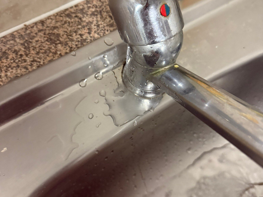 礁棕榈酒店主图