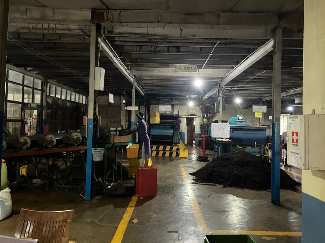 Kinellan Tea Factory-埃勒必去景点