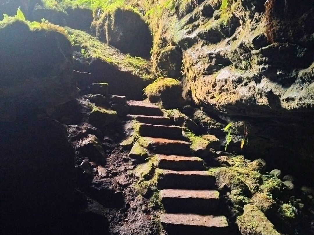 Belmore Forest - Pollnagollum Cave Walk-恩尼斯基林必去景点