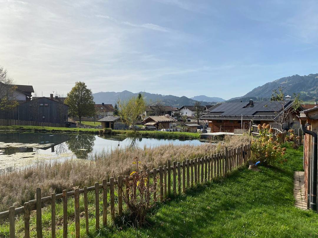 Alpzitt Chalets im Dorf主图