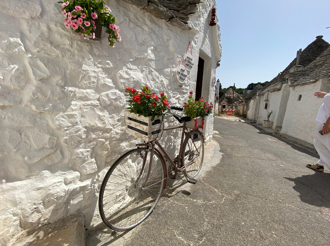 Newmarket Holidays-Wallington必去景点