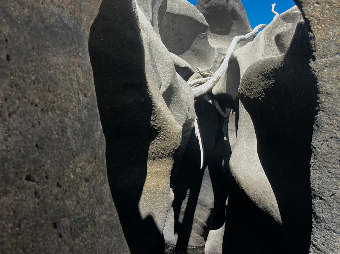 Coletivo Eco-上帕拉伊苏迪戈亚斯必去景点