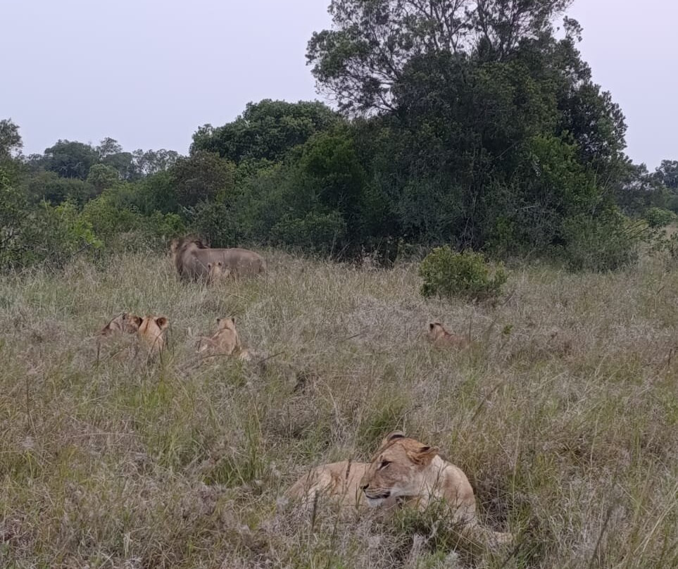 Nature Insight Safaris-内罗毕必去景点