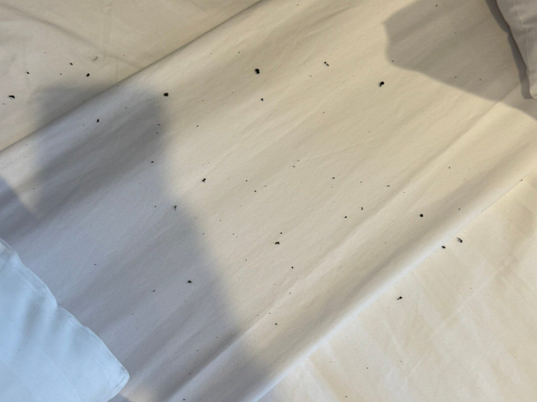 Quest East Perth主图