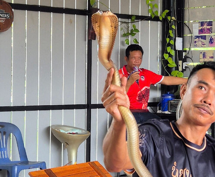 Krabi King Cobra Show-Khlong Haeng必去景点