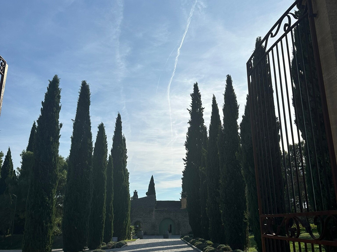 Chateau Saint-Pierre De Mejans-Puyvert必去景点