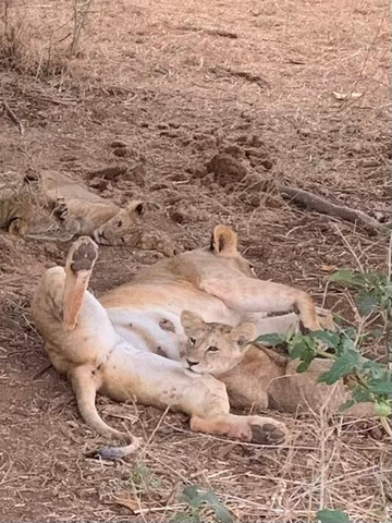 Dreaming Kenya con Bancomat-瓦塔木必去景点