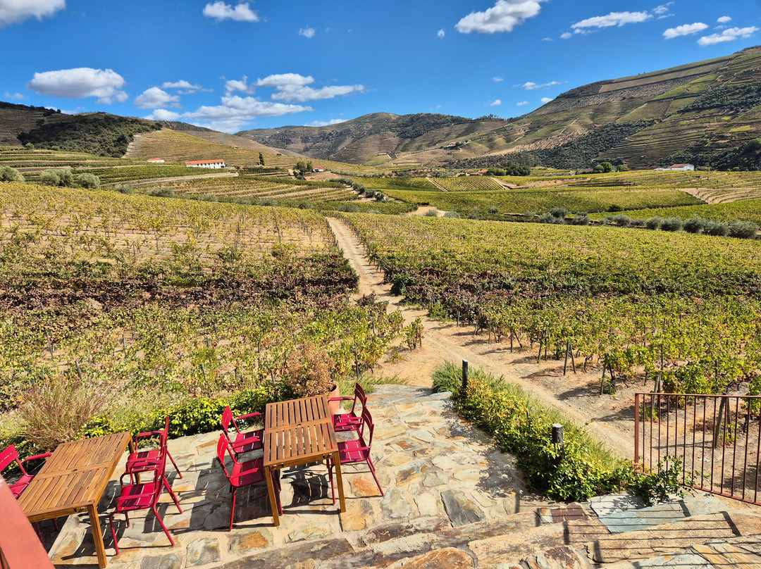 Quinta do Bomfim-Pinhao必去景点