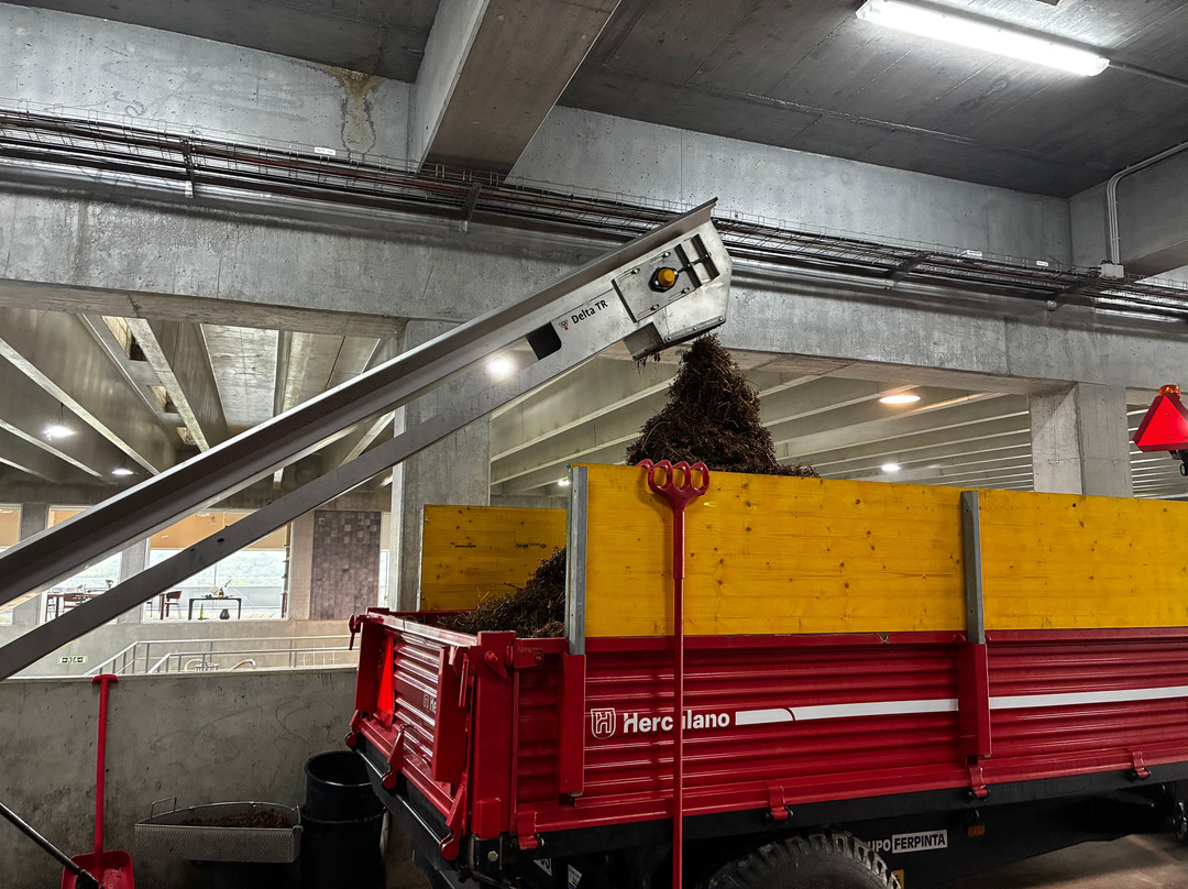 AdegaMae-托雷斯韦德拉什必去景点