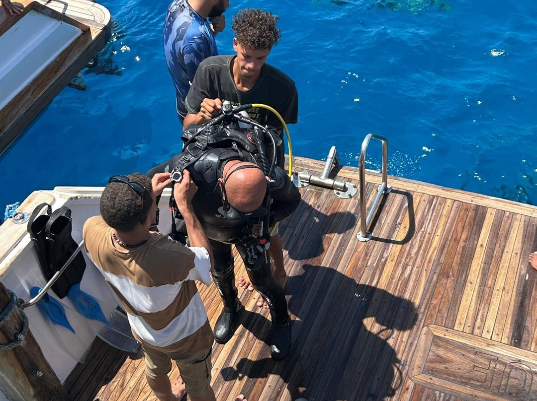 Dive more group-赫尔格达必去景点