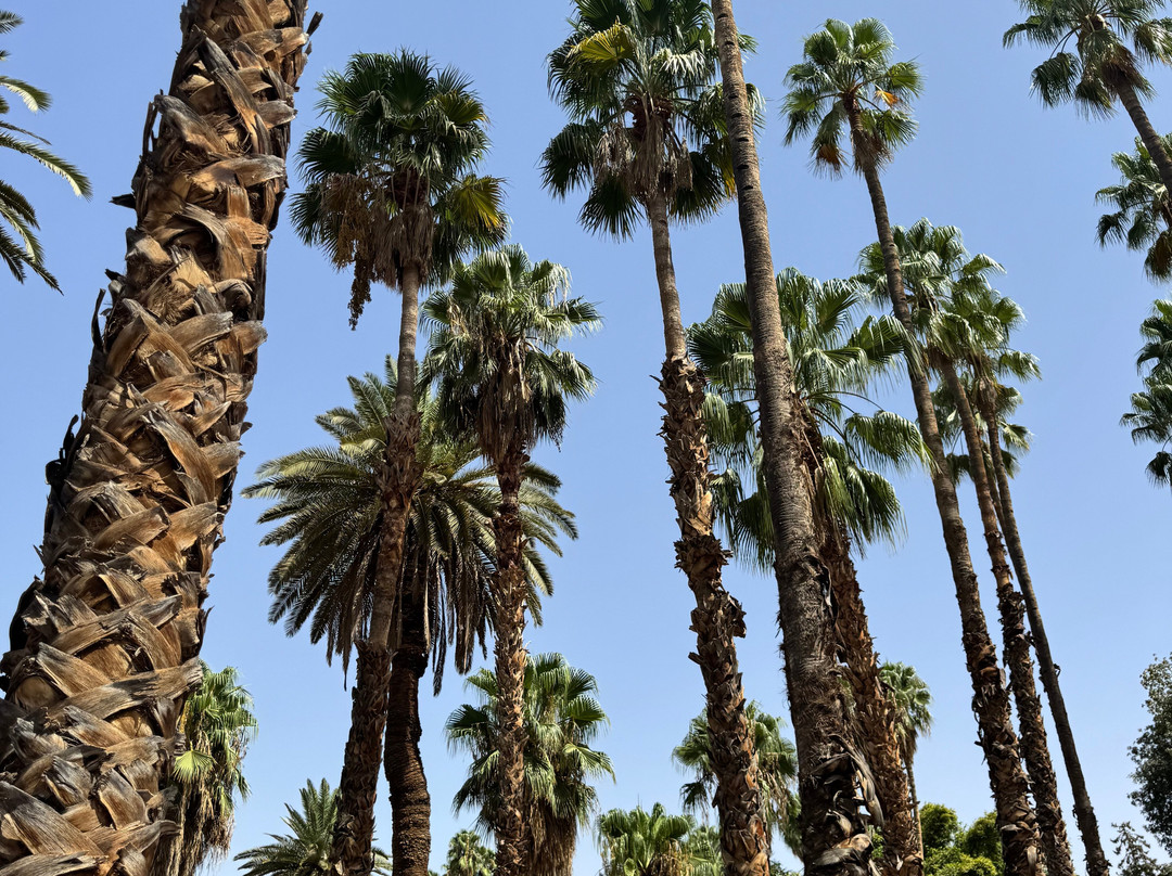 Amazigh Emotions - Day Tours-伊拉悉迪亚必去景点