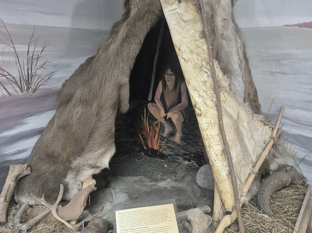 Omsk State Museum of History and Regional Studies-鄂木斯克必去景点