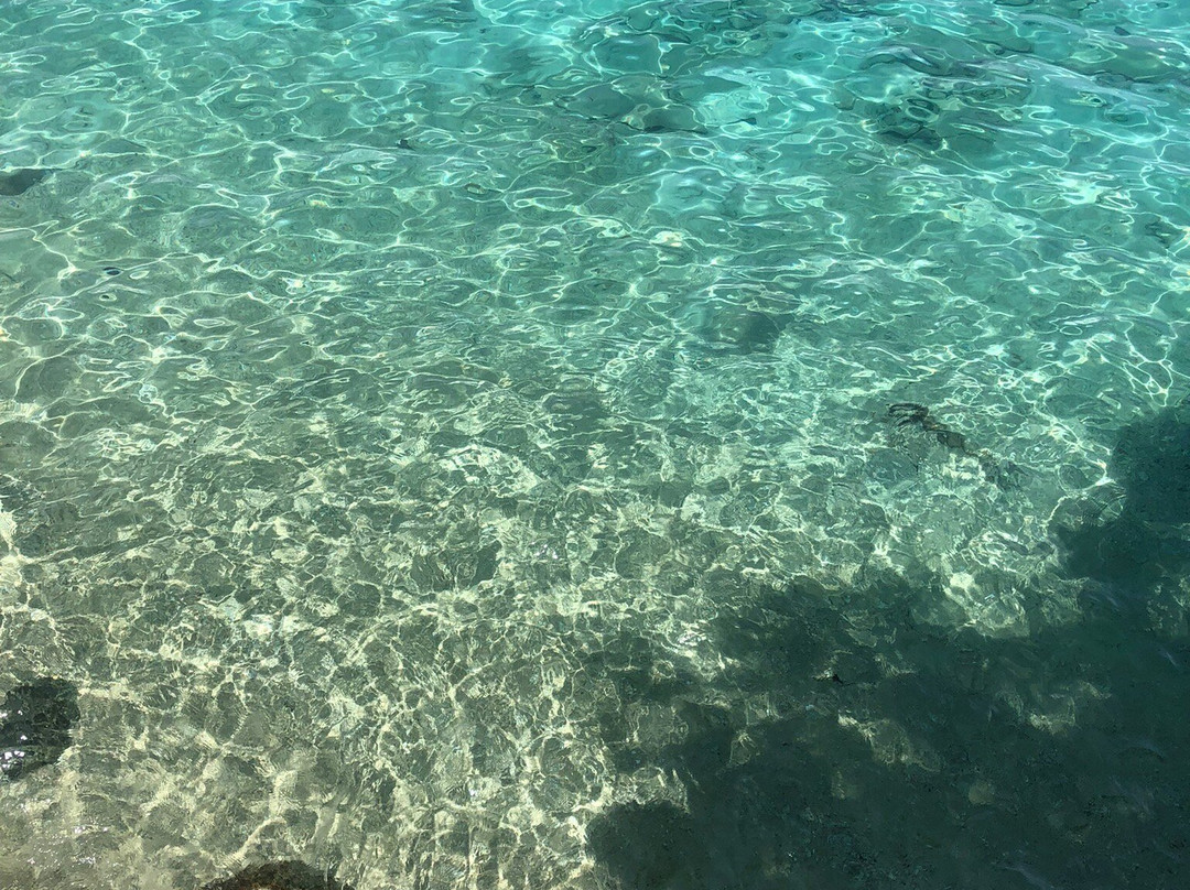 金枪鱼海湾岛屿度假村 主图