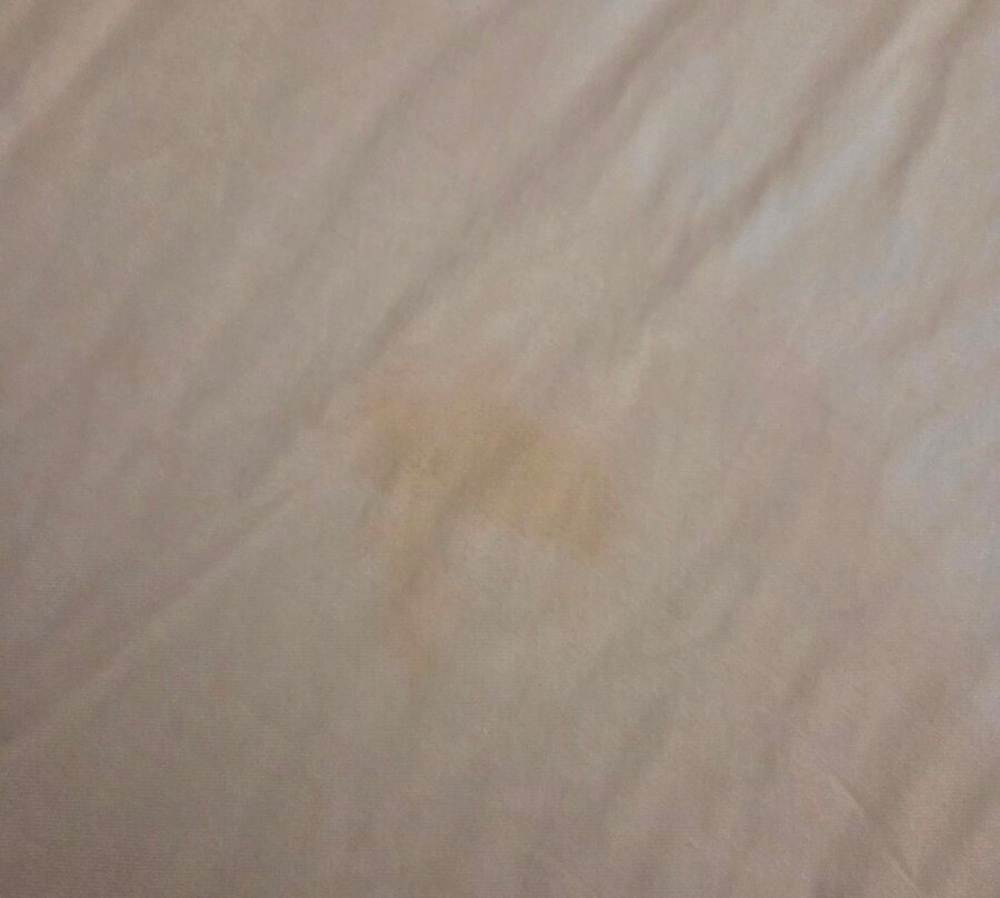 Best Western Inn Of Payson主图