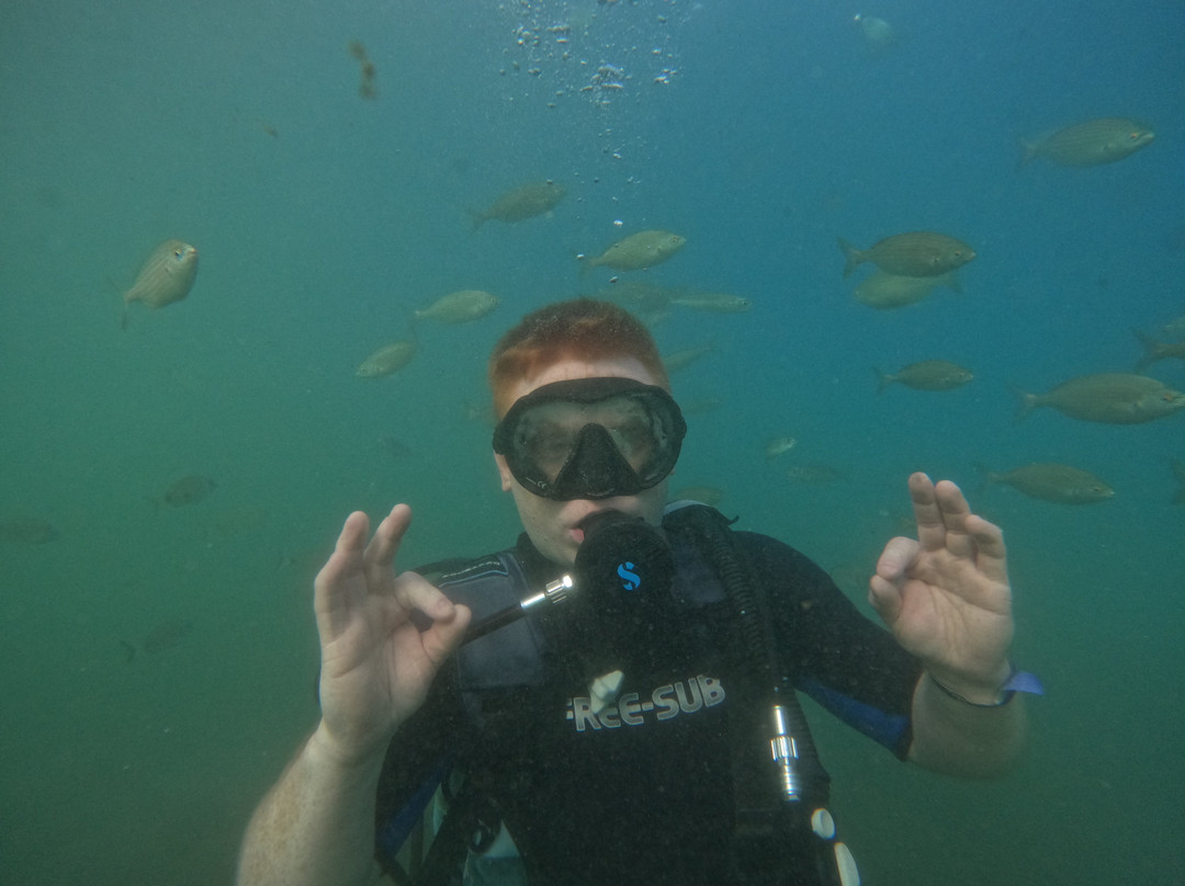 Active Blue Diving Center-库萨达斯必去景点