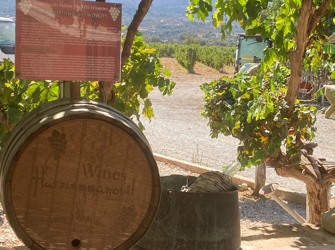 Hatziemmanouil Winery-Linopotis必去景点