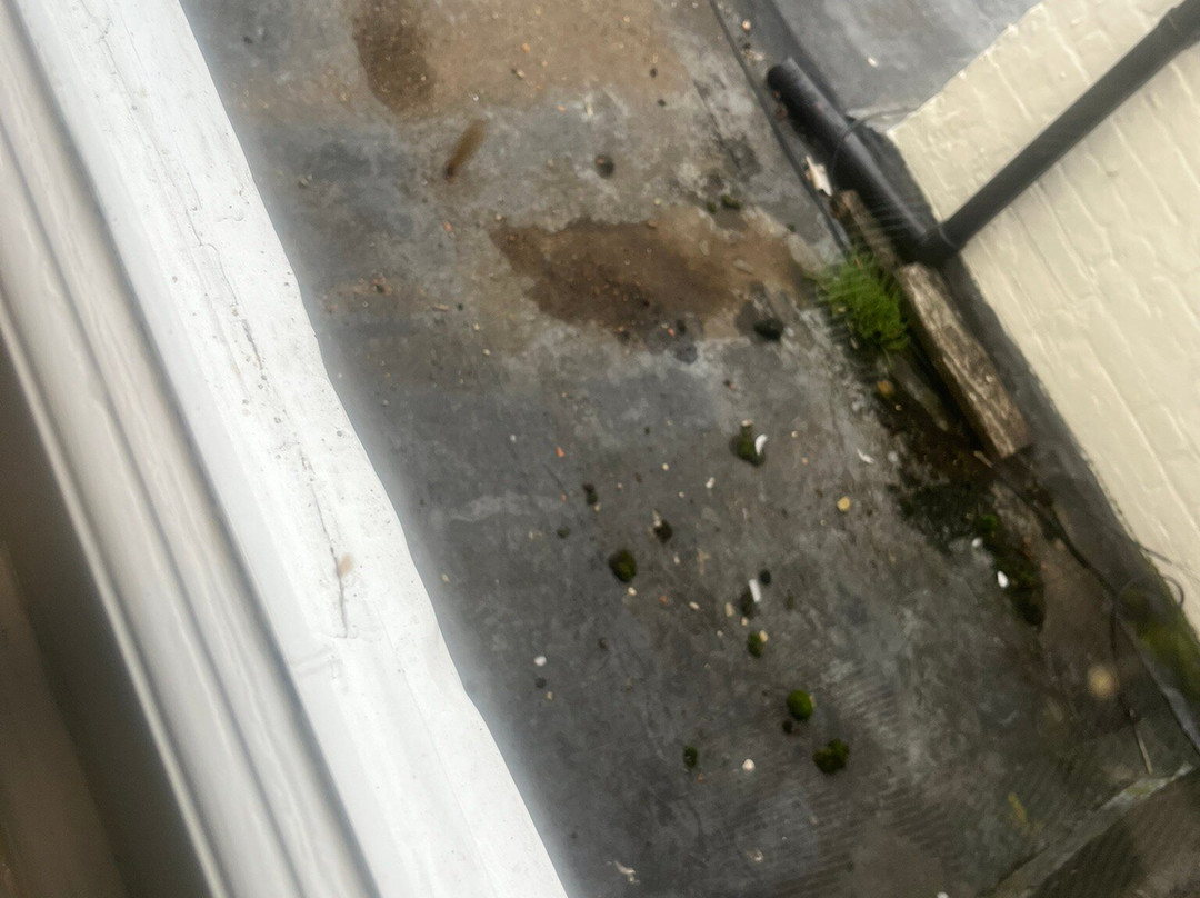 The Crown Hotel主图