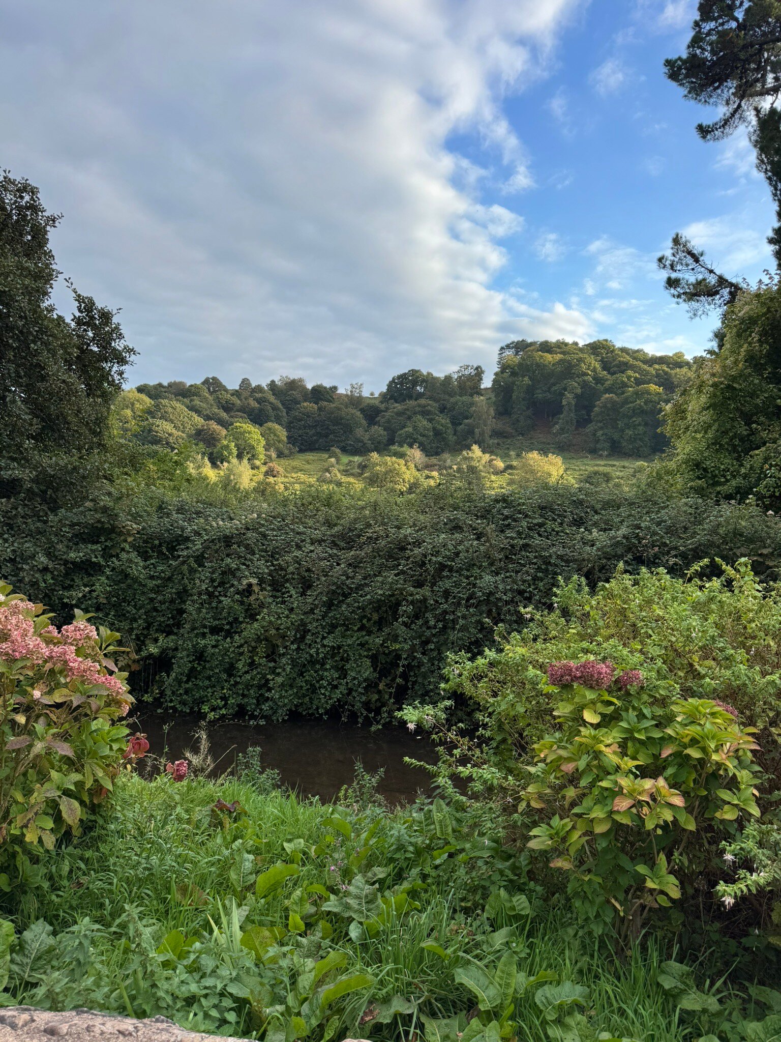 Dunster Mill House-官方