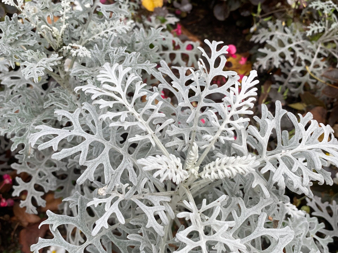 Monument to P.S. Nakhimov-Vyazma必去景点