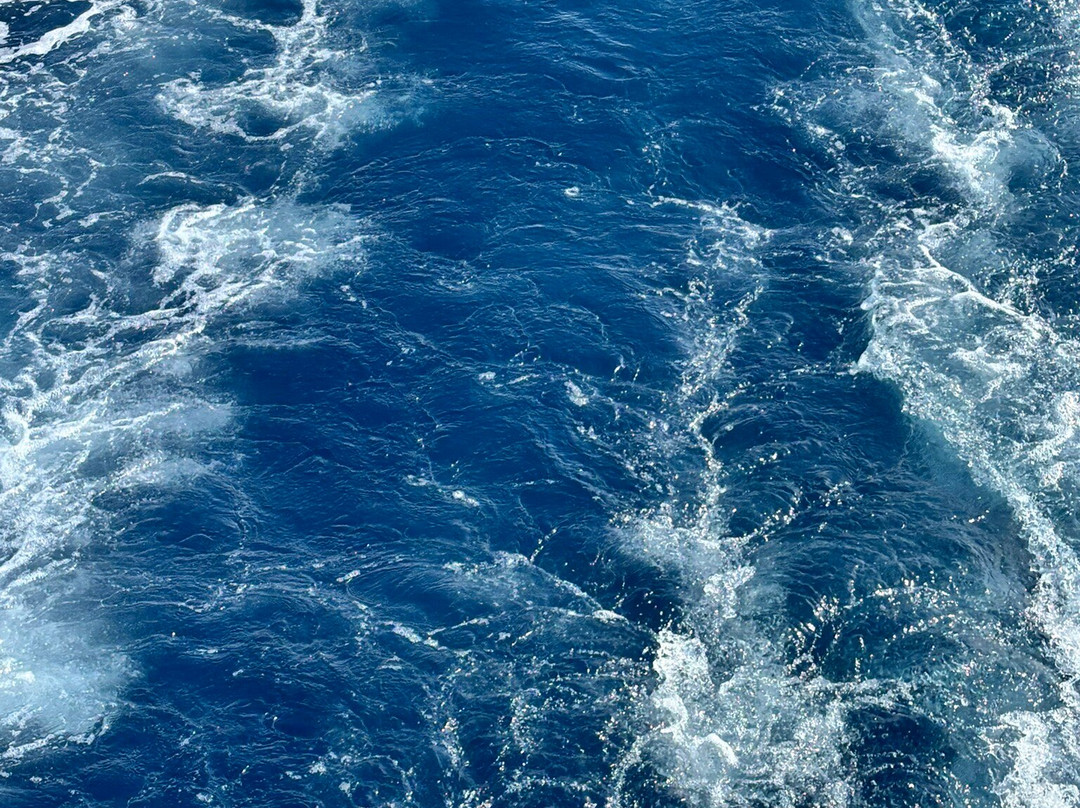 m/y Stella Polaris-图切皮必去景点