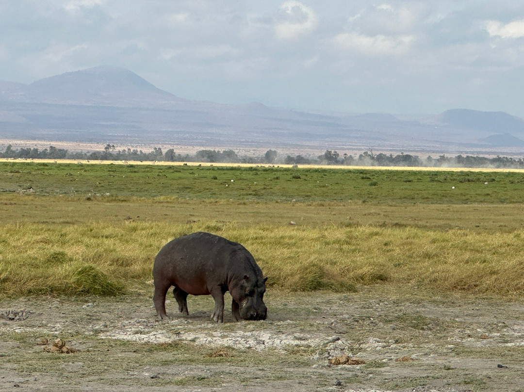 Safaris By Jon-坎帕拉必去景点
