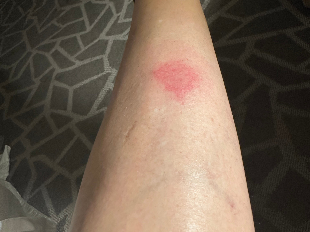 西佳米尔里弗庄园酒店主图