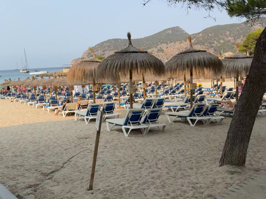 Camp de Mar Beach-Camp De Mar必去景点