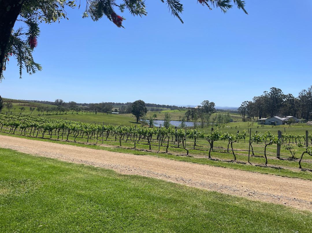 Grape Experience Tours-Wollombi必去景点