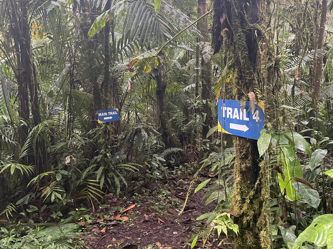 Yellow House Hiking Trails-明多必去景点