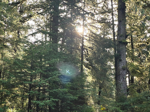 Sitka Bike & Hike-锡特卡必去景点