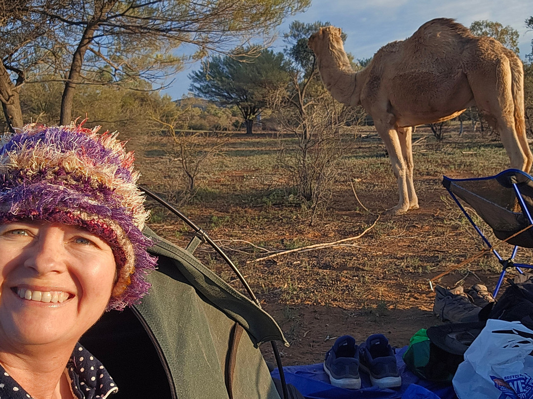 Park Trek Walking Holidays-墨尔本必去景点