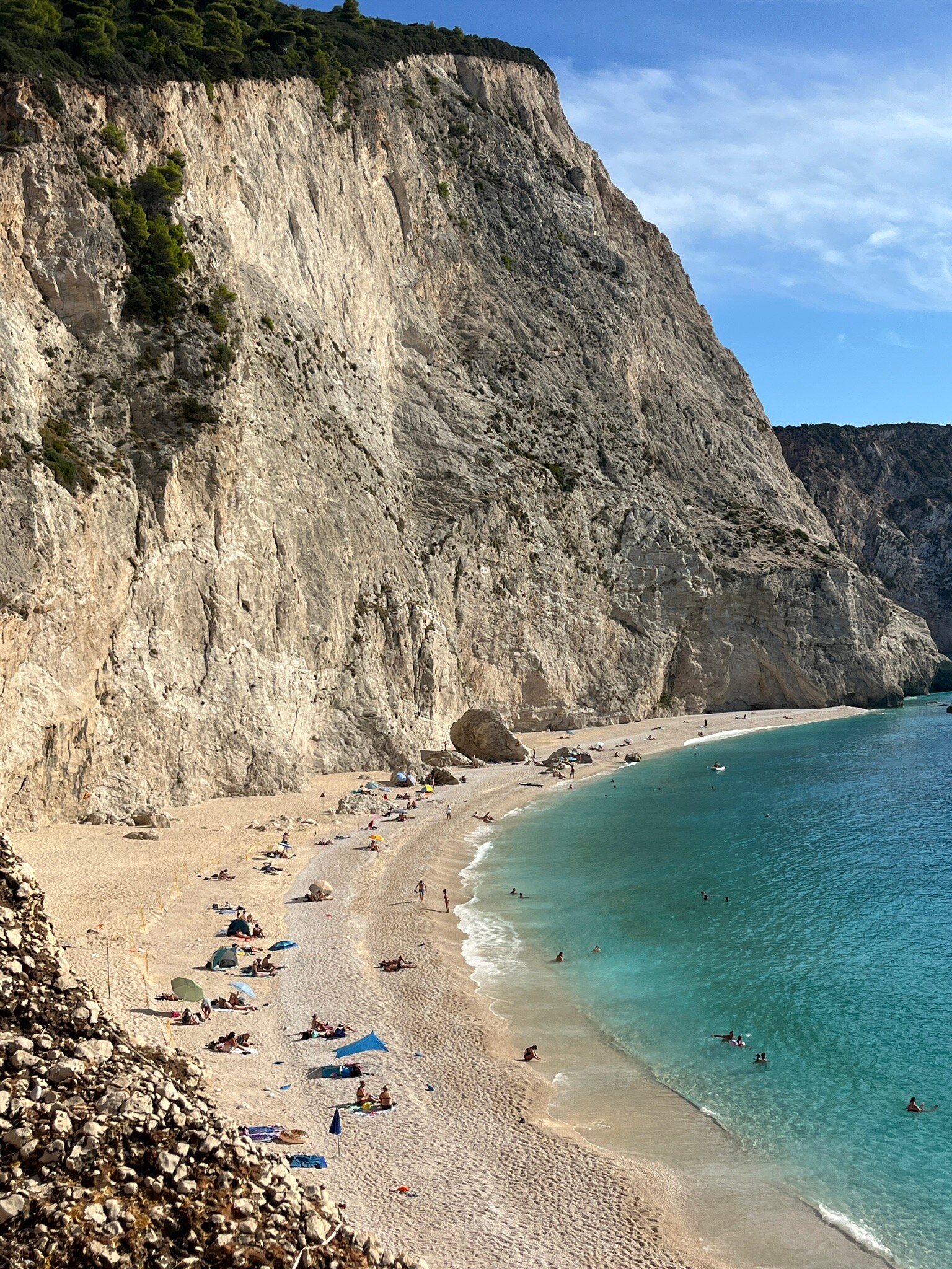 Il Viaggio Verde-官方