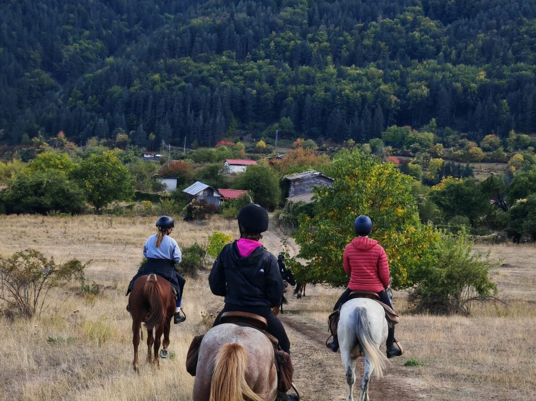 Horseriding Bulgaria - Day Tours-索非亚必去景点