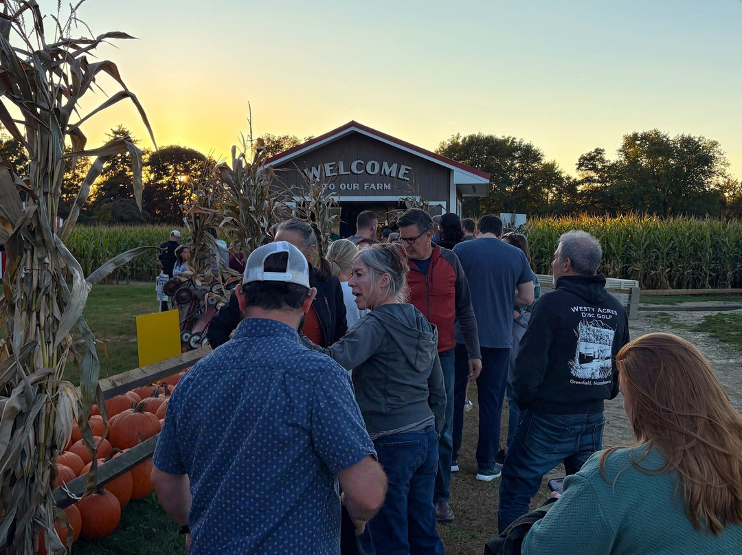 Mike's Maze-Sunderland必去景点