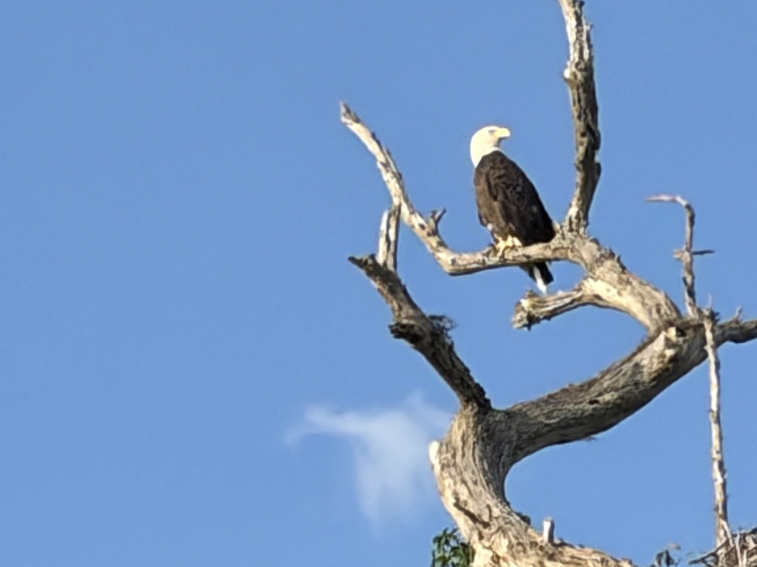 The Living Water Boat Cruises-温特黑文必去景点