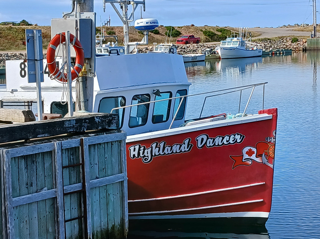 Cabot Trail Guaranteed Whales Adventures-Pleasant Bay必去景点