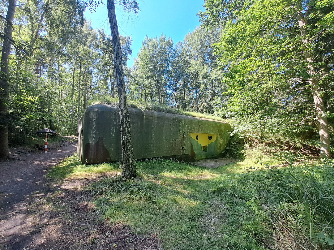 Skansen Fortyfikacji Ośrodek Oporu ,,Jastarnia"-Jastarnia必去景点