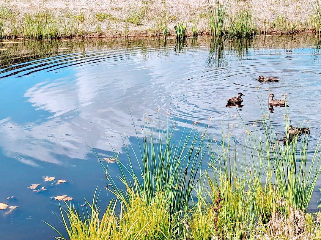 Firefly Grove Park-沃瓦托萨必去景点