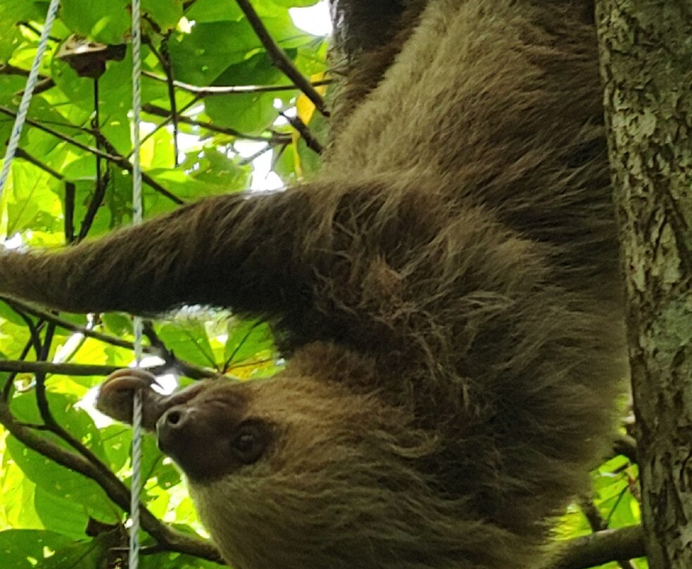 Meléndez Tours and Travel-埃尔罗夫莱必去景点