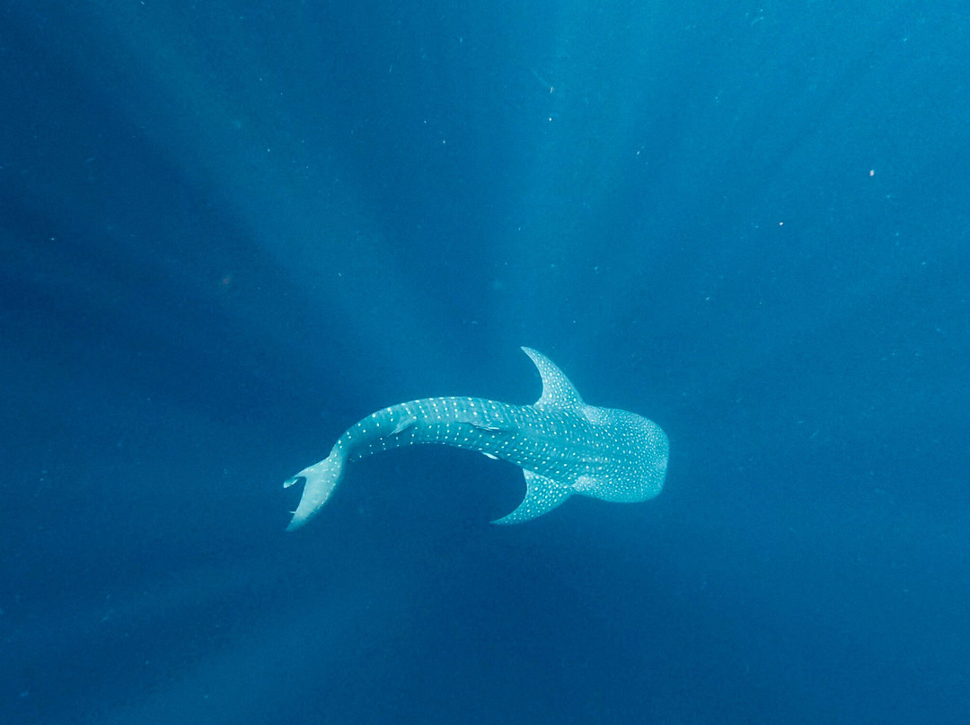 Kalawai Adventure-Waigeo Island必去景点