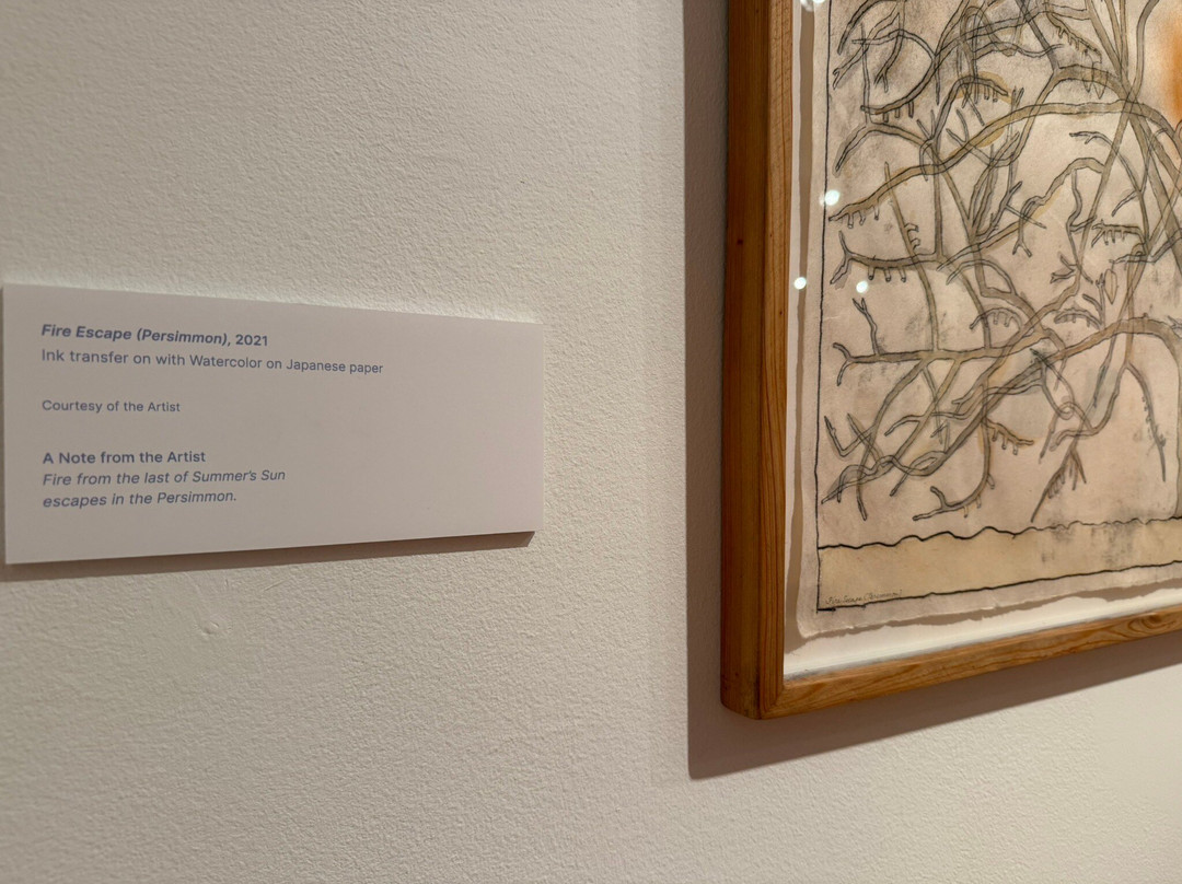 Paul and Lulu Hilliard University Art Museum-拉法叶必去景点