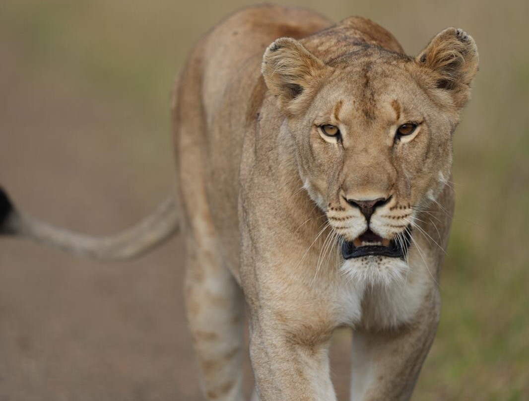 EverseenAfrica-霍德斯普鲁特必去景点