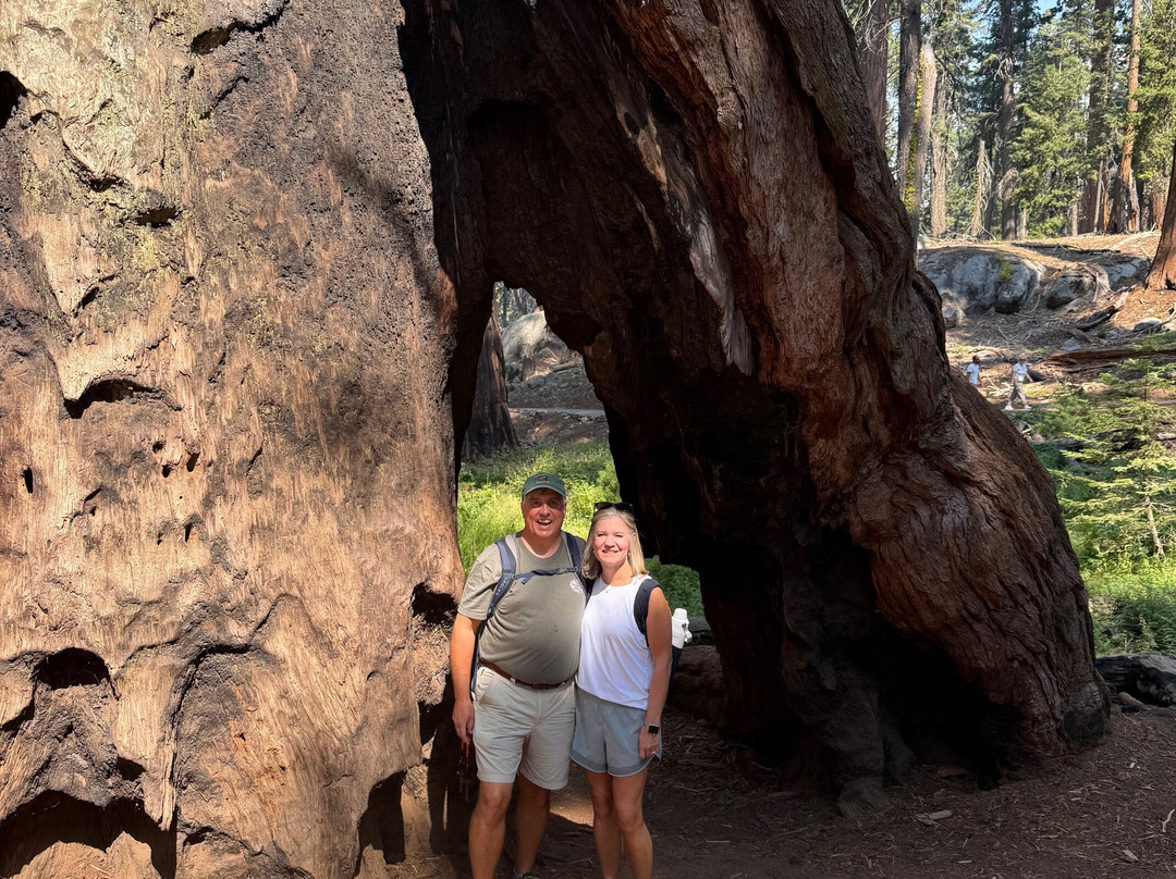 Congress Trail-红杉&国王峡谷国家公园必去景点